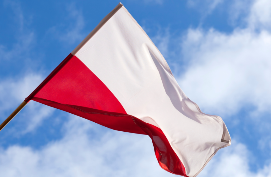 Artykuł dr&nbsp;hab. Krzysztofa Koźmińskiego, prof.&nbsp;UW: Idea sprawnego państwa a&nbsp;Konstytucja RP&nbsp;na&nbsp;łamach Rzeczpospolitej