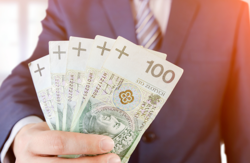 Od&nbsp;tematu tabu do&nbsp;tabeli w&nbsp;Excelu – jawność wynagrodzeń i&nbsp;parytety jako nowe narzędzia realizacji zasady równości płci w&nbsp;prawie polskim